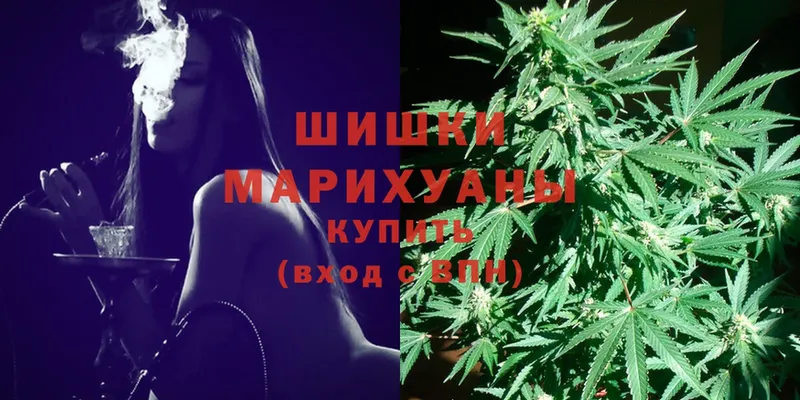 blacksprut онион  Будённовск  Бошки марихуана Amnesia  купить наркотики цена 